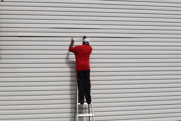 Best Vinyl Siding Installation  in Nett, MO