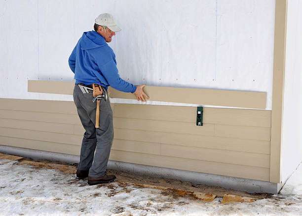 Best Custom Trim and Detailing for Siding  in Nett, MO